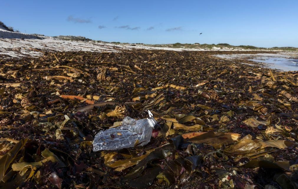 EUA exportam lixo de plástico para países que tentam ser 