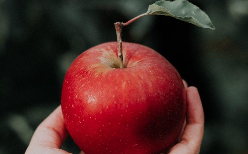 Os 4 benefícios de comer uma maçã por dia