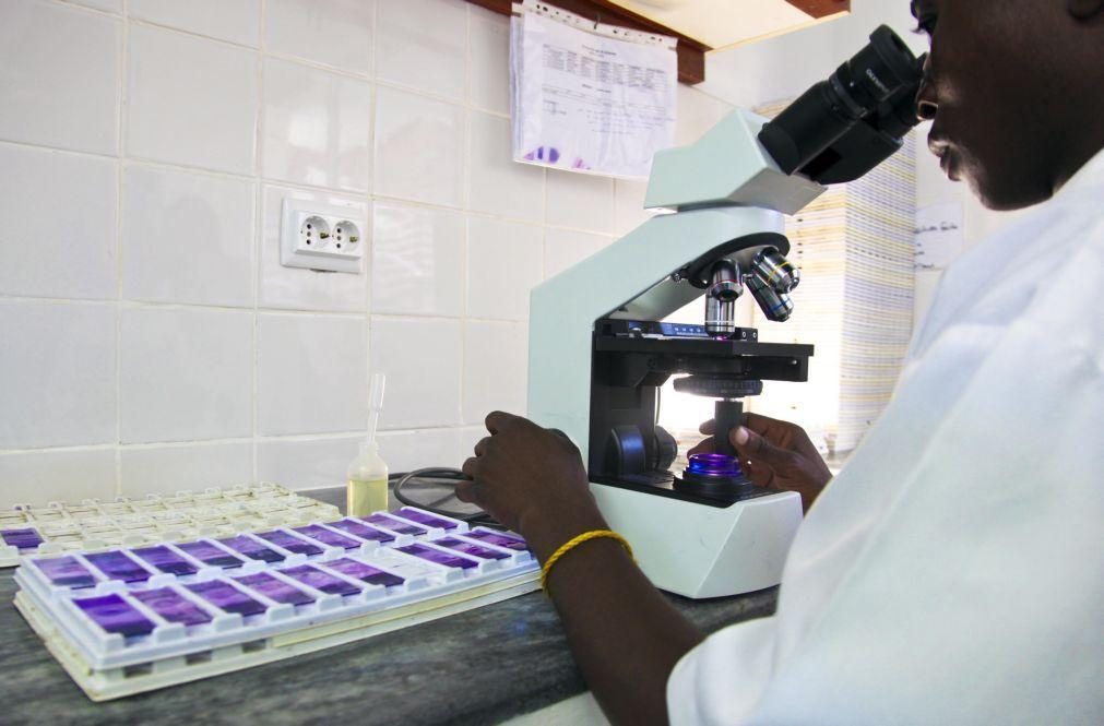 Moçambique lança projeto-piloto que pode prevenir 75% dos casos de malária