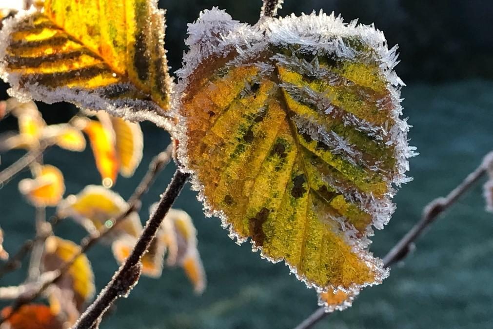 Meteorologia: Previsão do tempo para sexta-feira, 20 de novembro