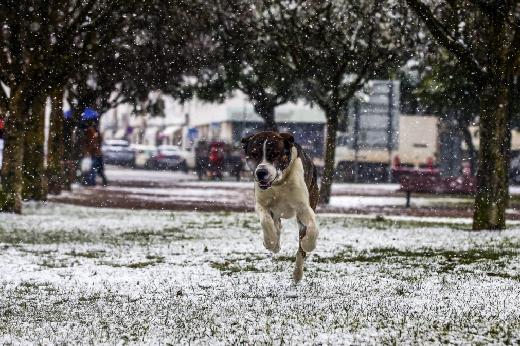 Frio até ao fim desta semana mas o fim do mês vai ser quente