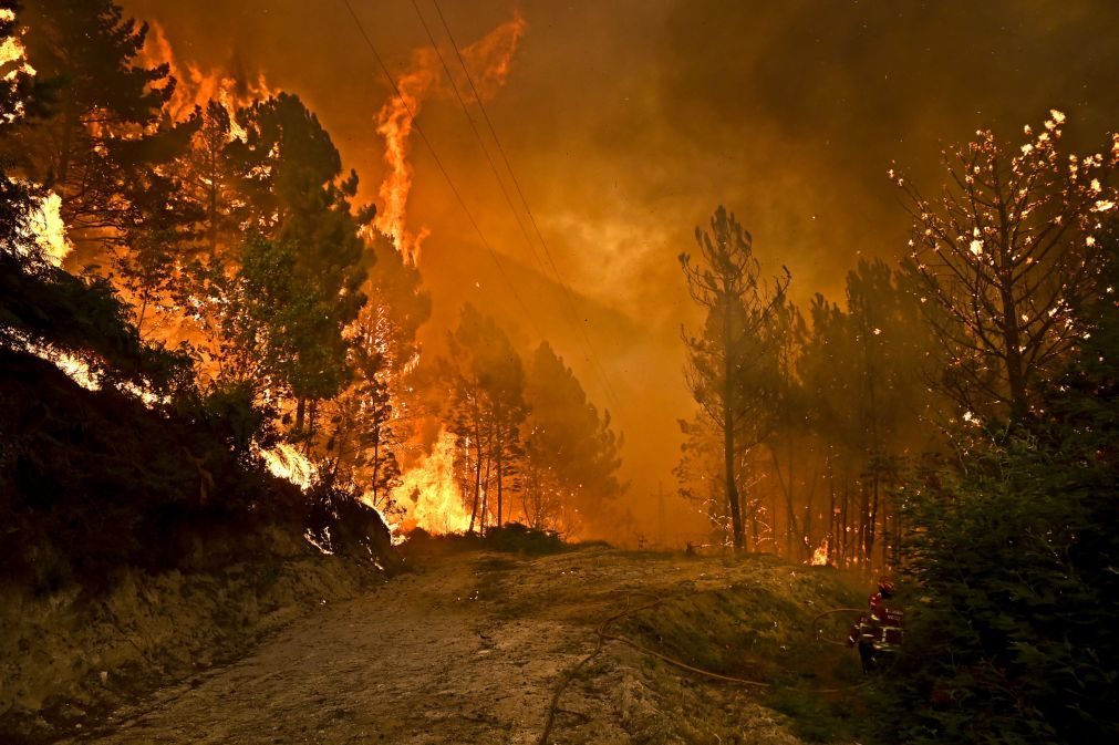 Onze concelhos de quatro distritos em risco 'máximo' de incêndio