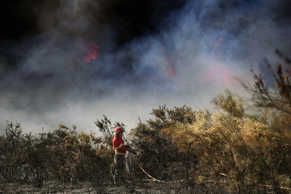 Vaga de calor coloca Portugal em alerta com risco 'máximo' de incêndio