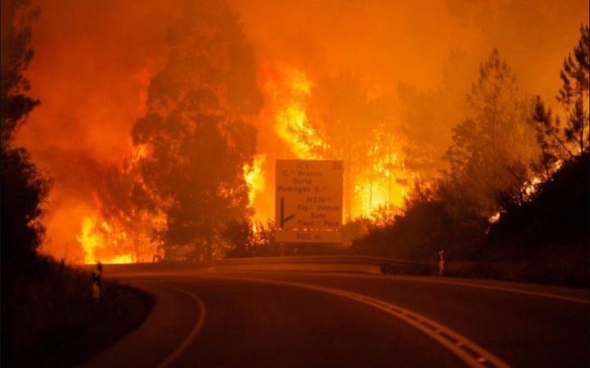 E se pudesse ajudar as vítimas de Pedrógão Grande sem sair do sofá?