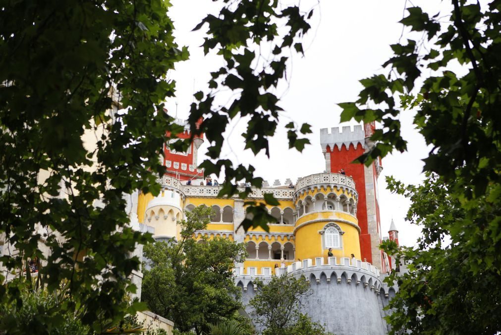 Covid-19: Parques e monumentos de Sintra com quebra de 80% de visitantes em 2020