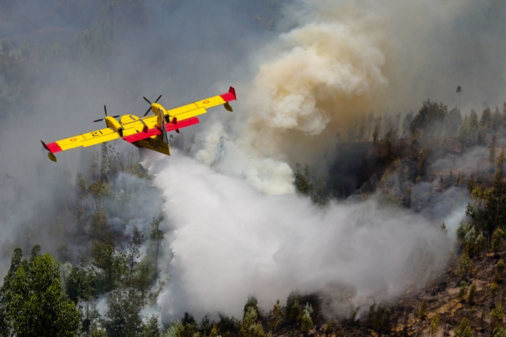 Dez meios aéreos e mais de 1.100 bombeiros combatem fogo em Pedrógão Grande