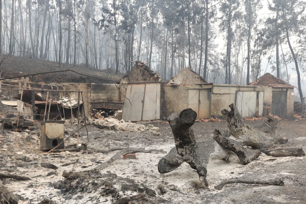 ÚLTIMA HORA: Um cidadão francês entre os mortos em Pedrogão Grande