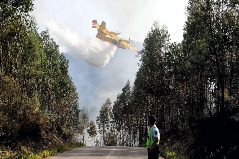 Proteção Civil admite controlo do incêndio que começou em Pedrógão Grande até final da manhã