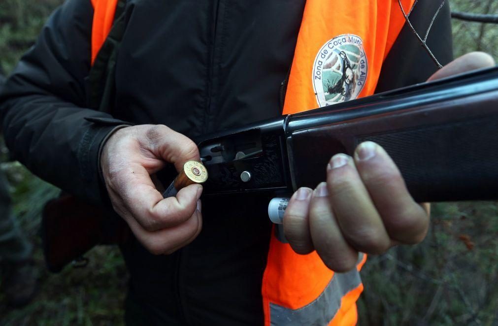 Há cerca de 1,5 milhões de armas legais em Portugal