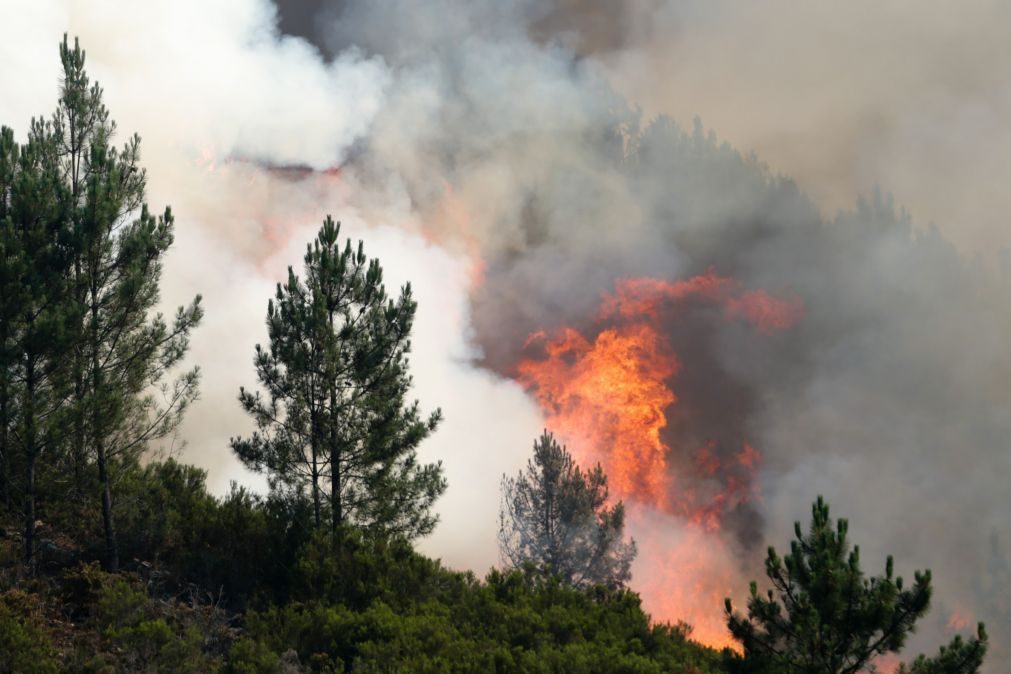 Início do período crítico do Sistema de Defesa da Floresta contra incêndios antecipado para hoje