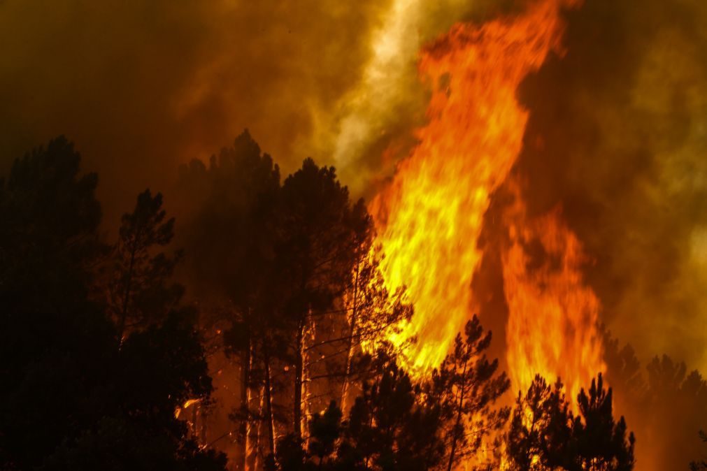Idosa encontrada carbonizada em incêndio florestal em Vila Nova de Paiva