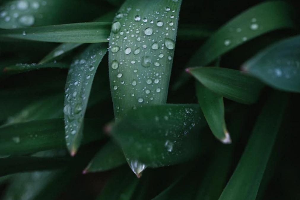 Meteorologia: Previsão do tempo para quinta-feira, 8 de abril