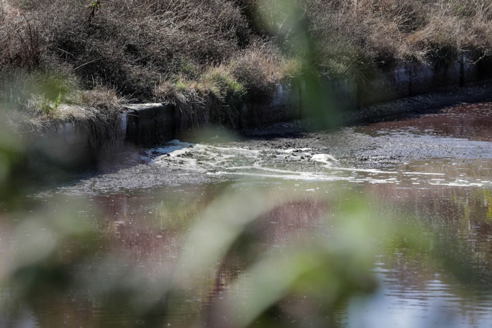 GNR deteta descarga ilegal de efluentes pecuários em Caldas da Rainha