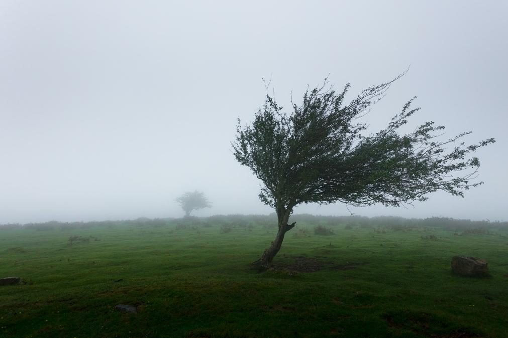 Meteorologia: Previsão do tempo para sábado, 1 de maio