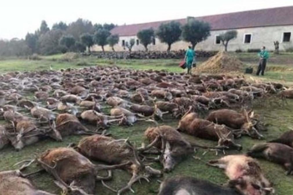 Herdade da Torre Bela continua sem ser ouvida pelas autoridades após matança