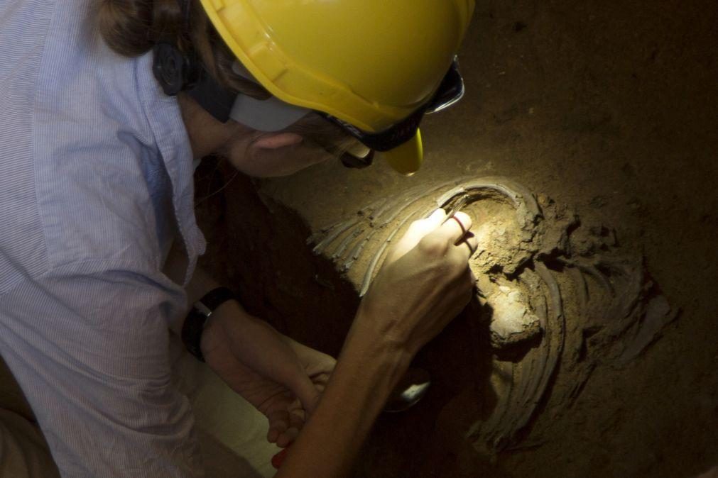 Descobertos os restos de nove Neandertais numa gruta em Itália