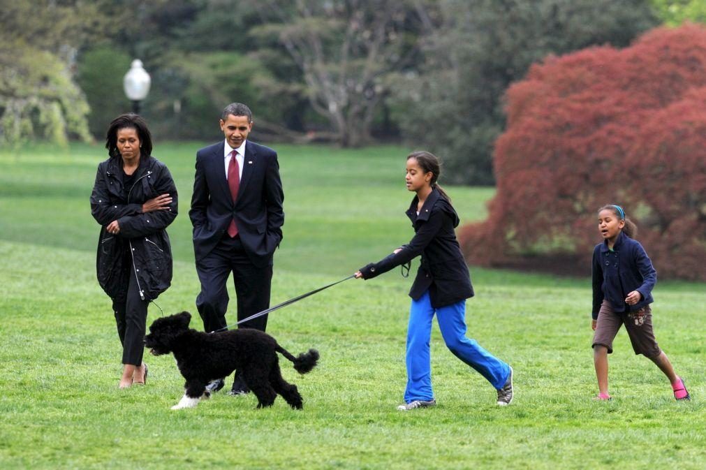 Morreu Bo, o cão de água português de Barack Obama