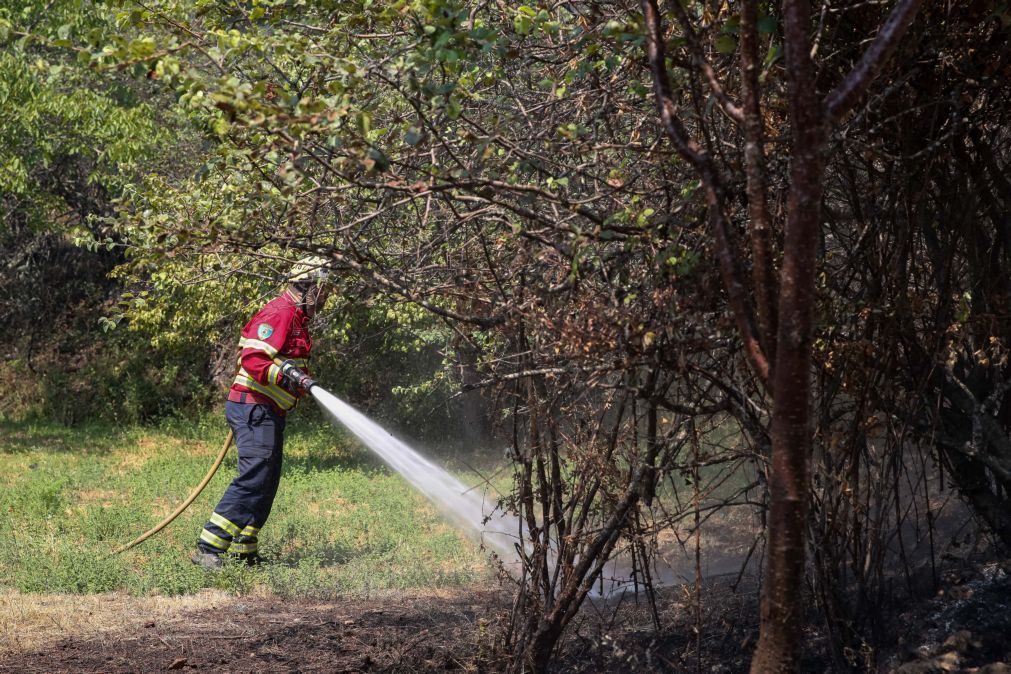 Incêndios: Dispositivo de combate volta hoje a ser reforçado com mais 9.600 operacionais