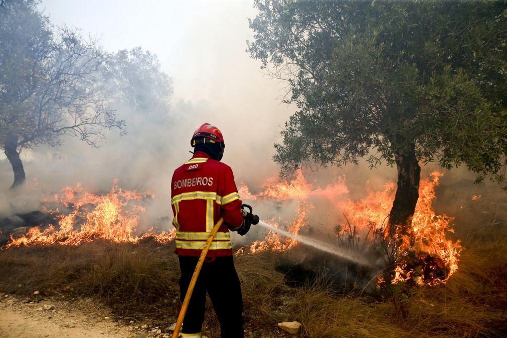 Fogo descontrolado na Sertã combatido por 8 meios aéreos e 170 bombeiros