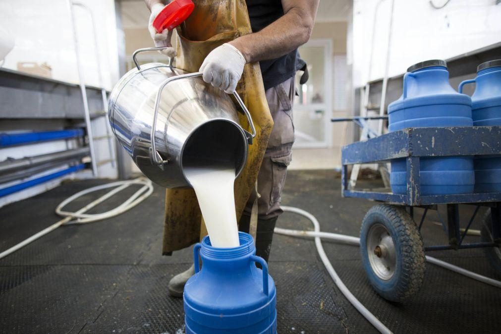 Produtores de leite exigem intervenção urgente do Governo no setor