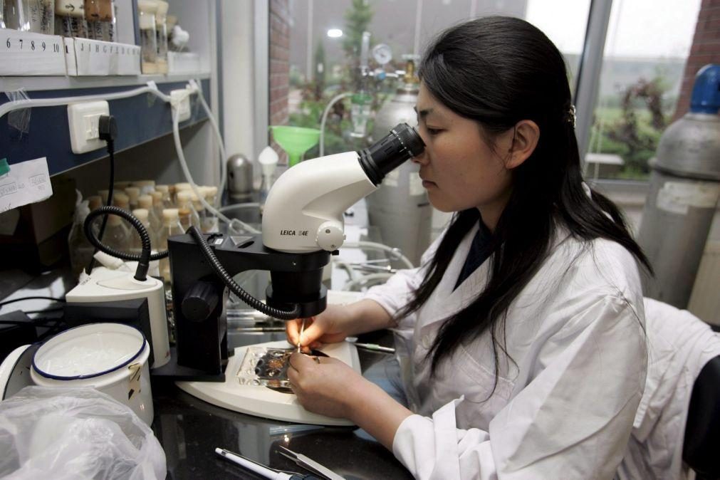 China e EUA são líderes nos gastos com desenvolvimento científico