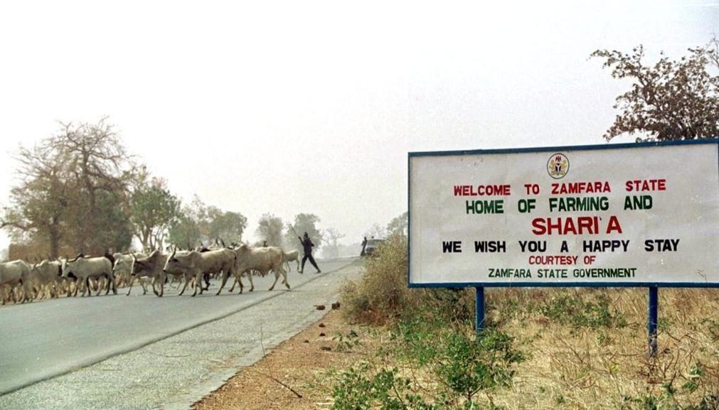 Ladrões de gado matam 53 pessoas na Nigéria