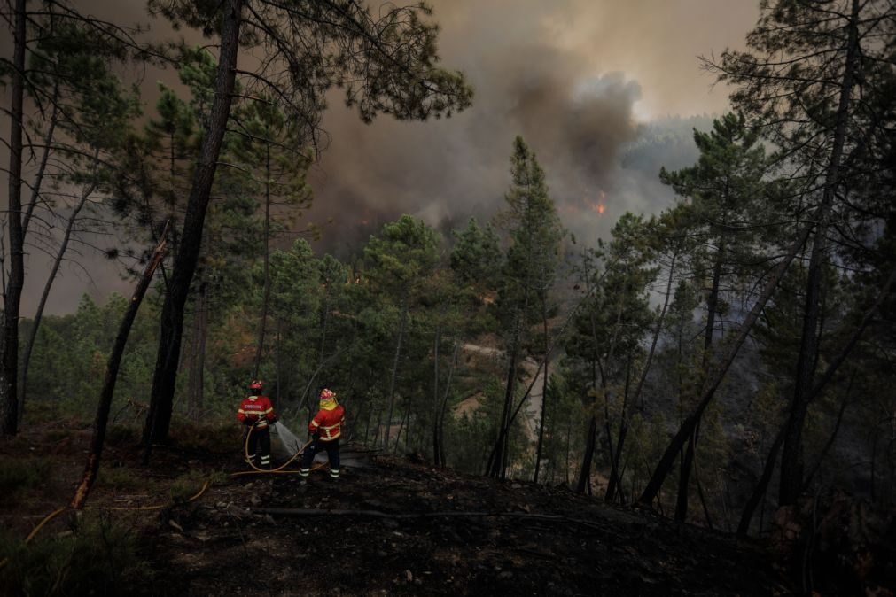 Mais de 50 concelhos de oito distritos em risco muito elevado de incêndio