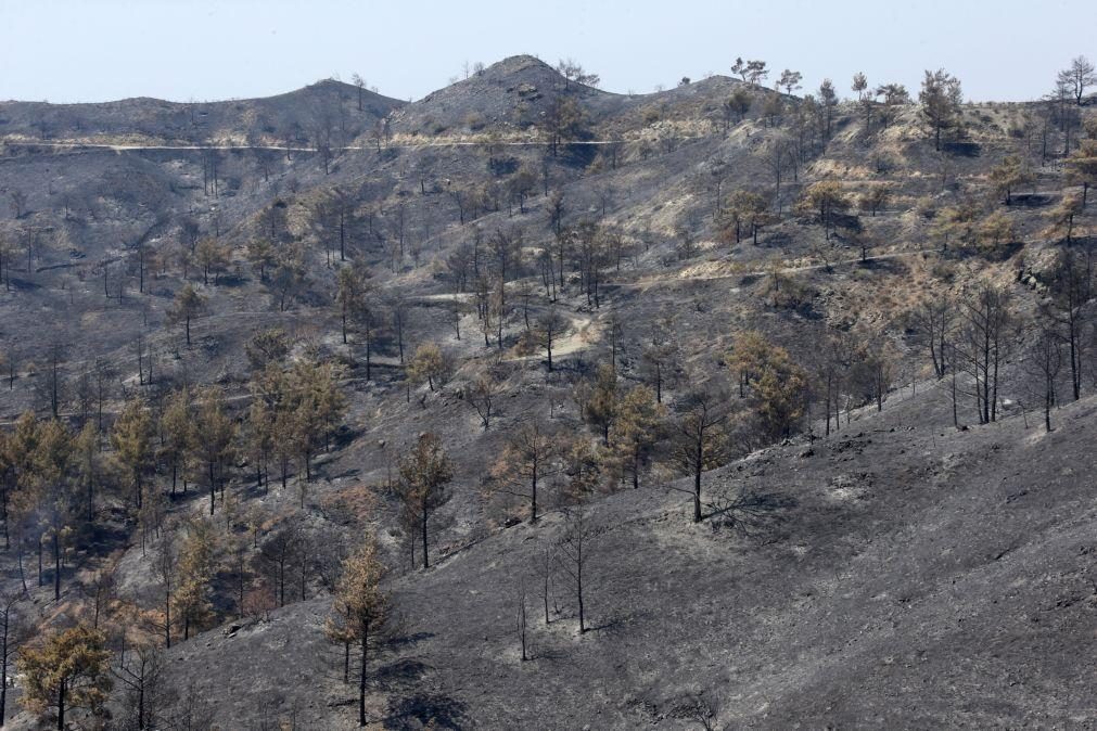 Incêndio que devastou área florestal no Chipre está sob controlo