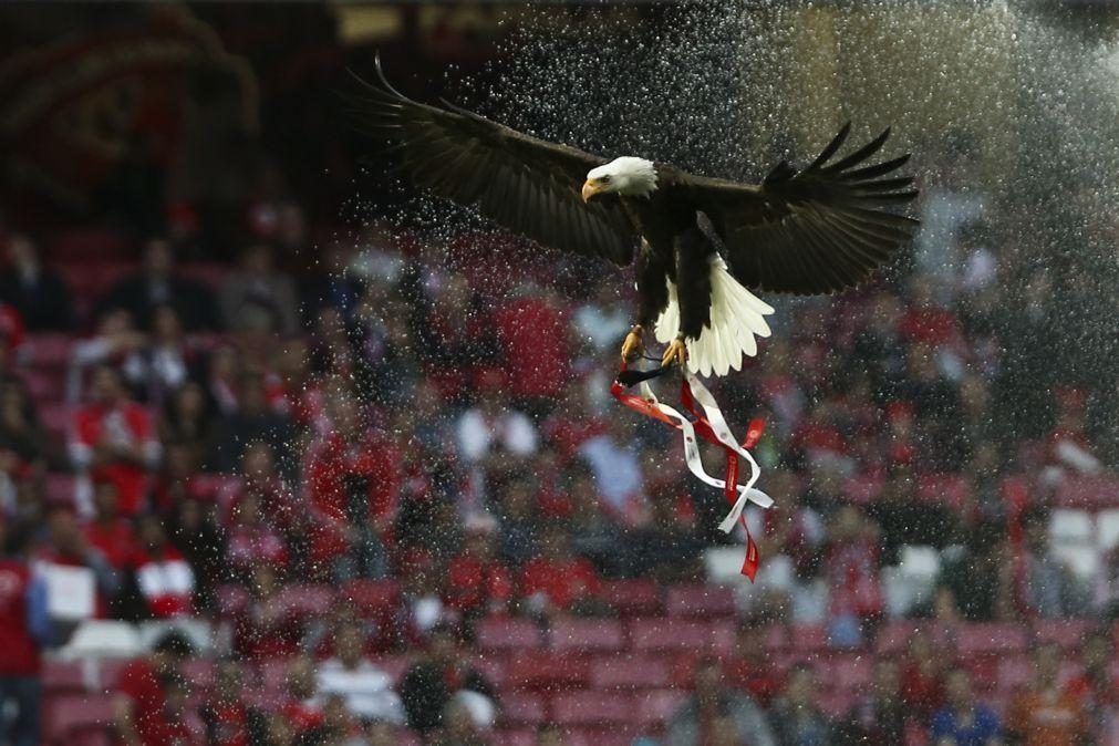 Movimento de sócios do Benfica defende convocação de eleições