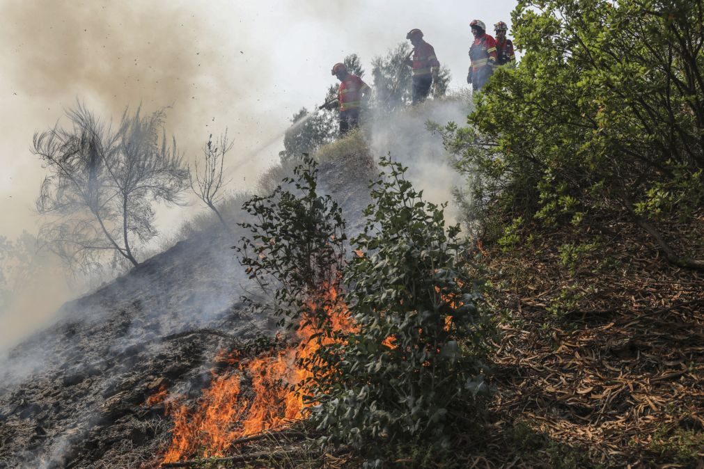 Incêndios: Fogo no Algarve obriga a retirar cerca de 30 pessoas e põe em perigo localidades