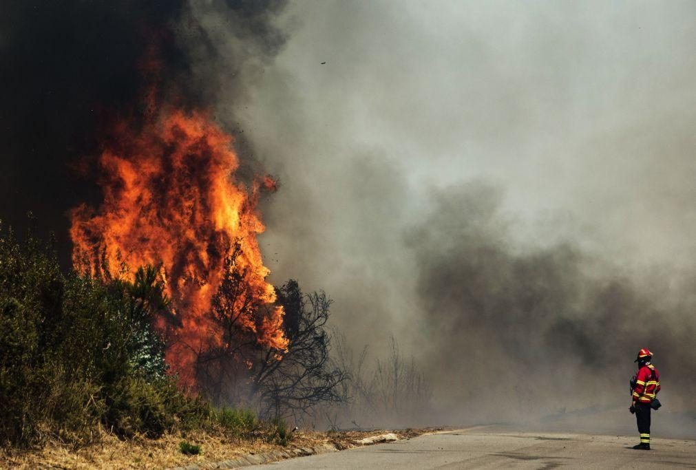 Incêndio: Fogo no Algarve tem duas frentes e autoridades esperam dominá-lo de madrugada