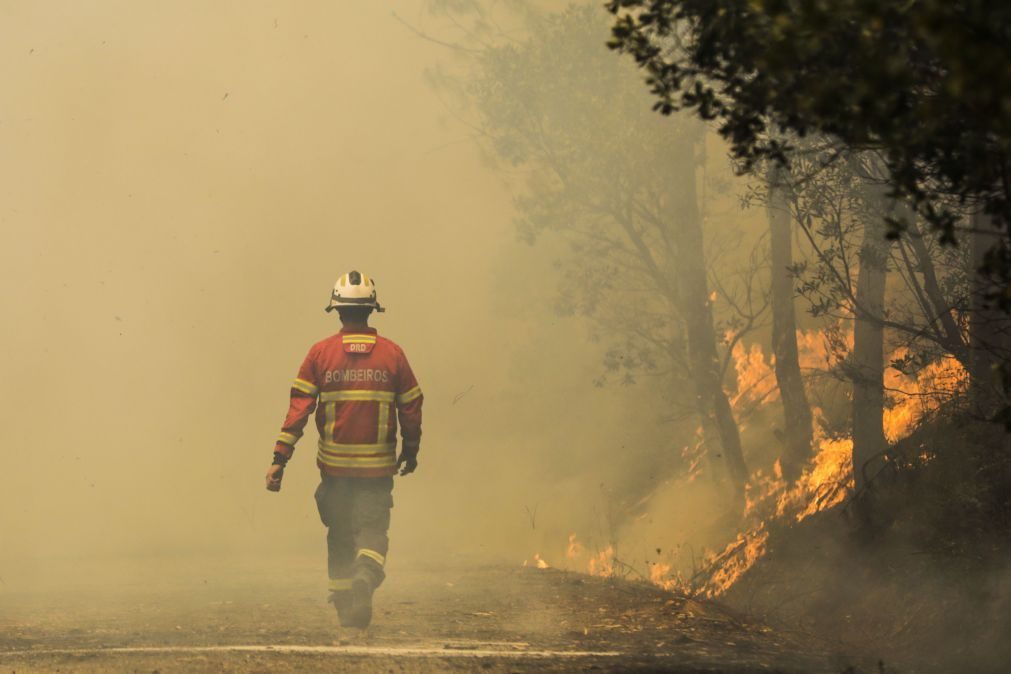 Antigo bombeiro detido por atear, pelo menos, 28 fogos