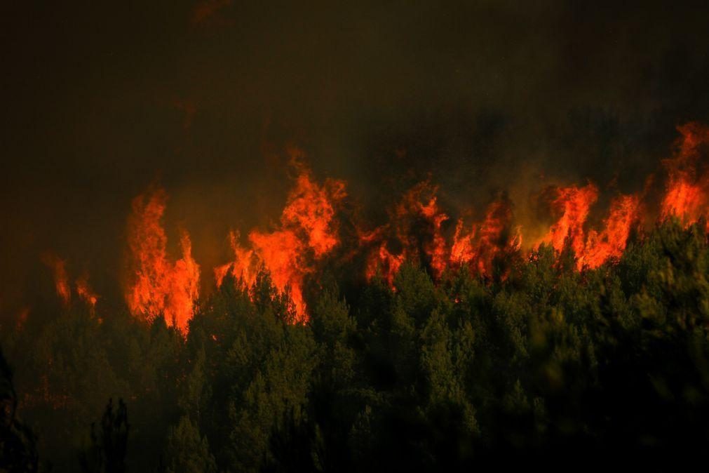 Incêndios: Cerca de 40 concelhos do interior Norte e Centro e do Algarve em risco máximo