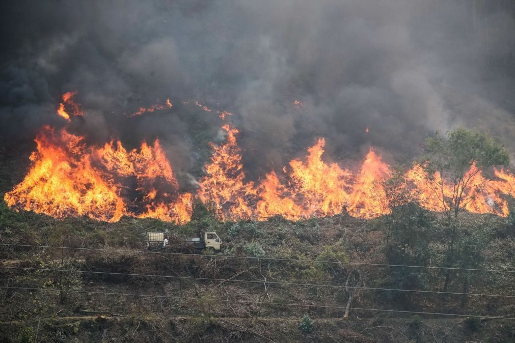 Cinquenta municípios em risco máximo de incêndio