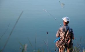 Pescador de 66 anos desaparecido na ilha do Pico
