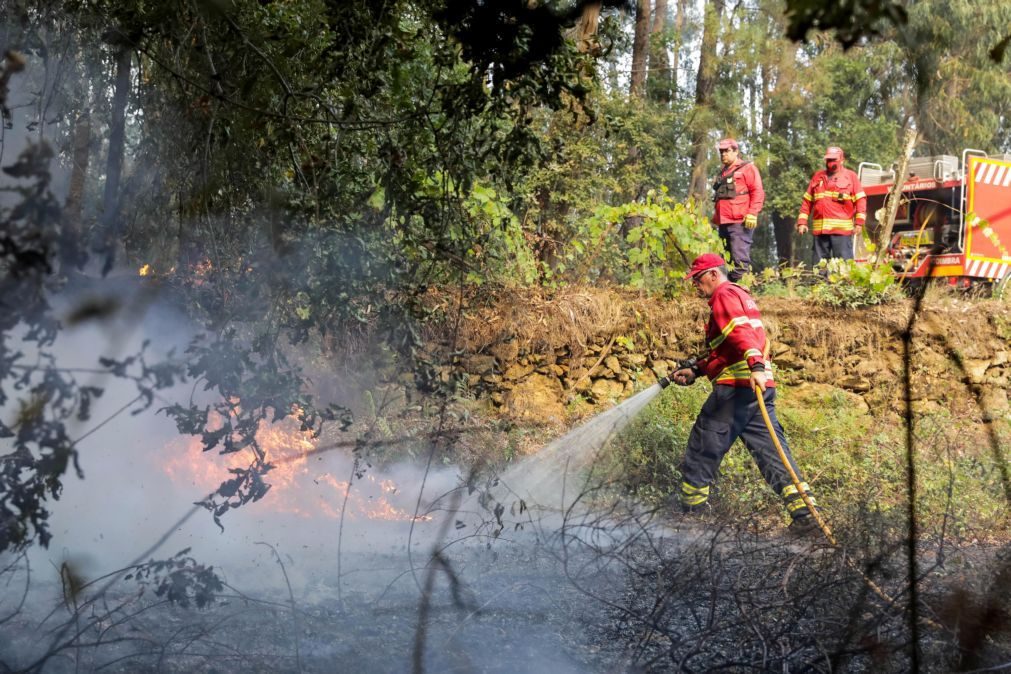 Mais de 80 concelhos em risco máximo de incêndio