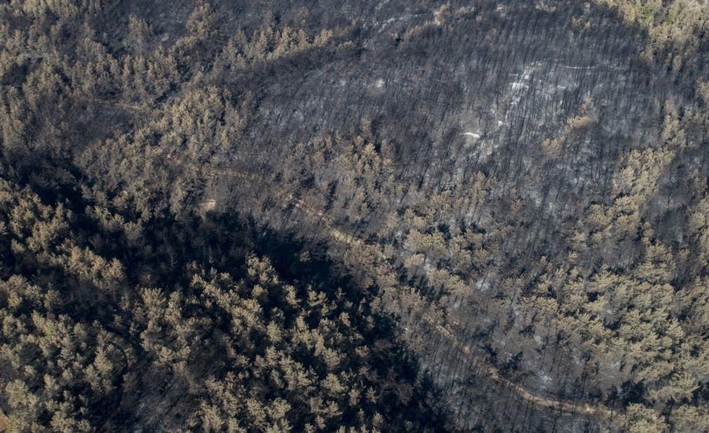 Oito pessoas morrem na queda de avião de combate a incêndios na Turquia