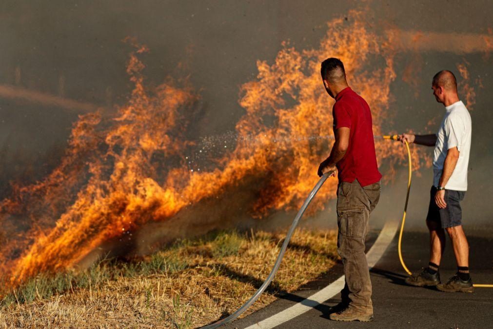 Fogo do Algarve obrigou a retirar de casa 81 pessoas e a evacuar canil