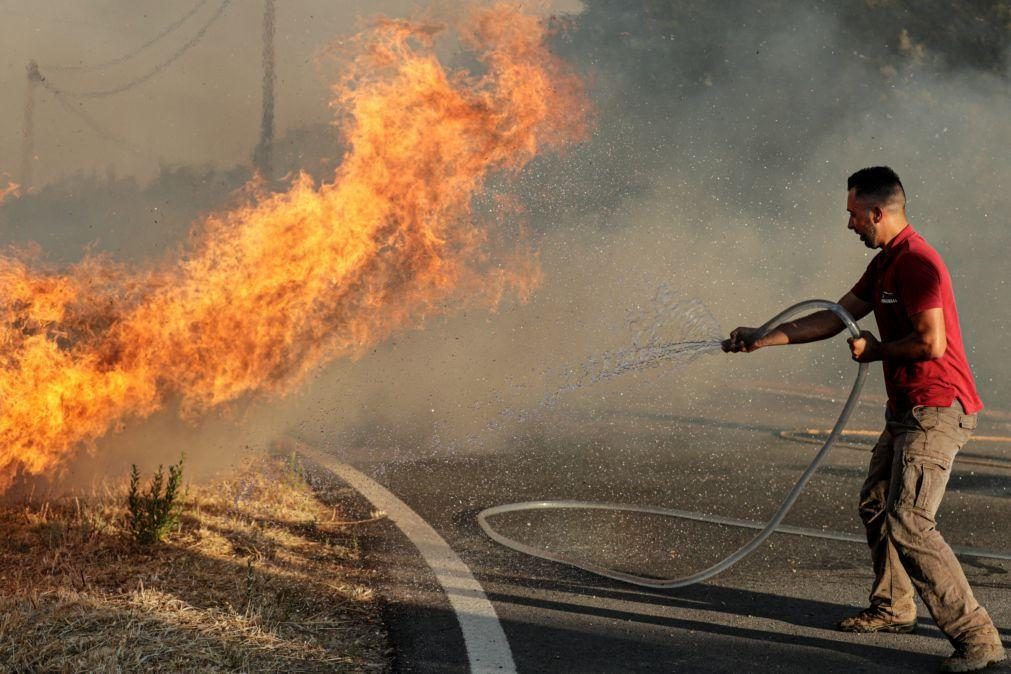 Agricultores afetados pelo incêndio já podem reportar prejuízos