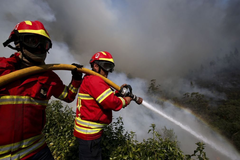 Dominados dois dos três fogos que deflagraram no domingo em Mangualde