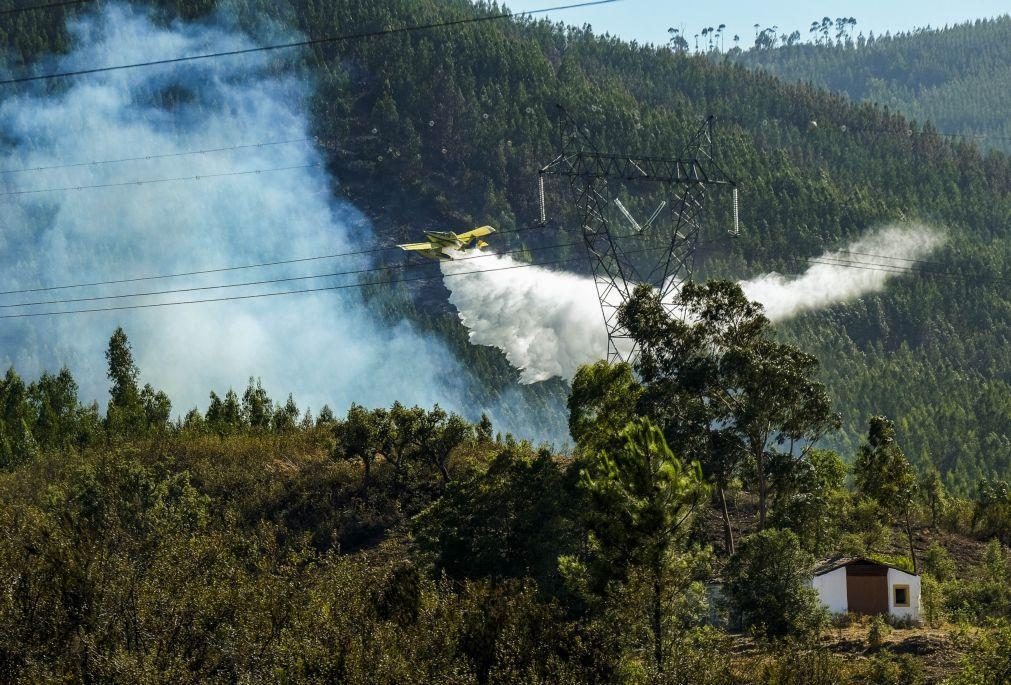 Incêndios: Fogo em Odemira consumiu área estimada em 1.100 hectares