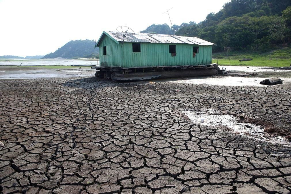 Brasil perdeu um sexto de áreas cobertas por água doce em 30 anos