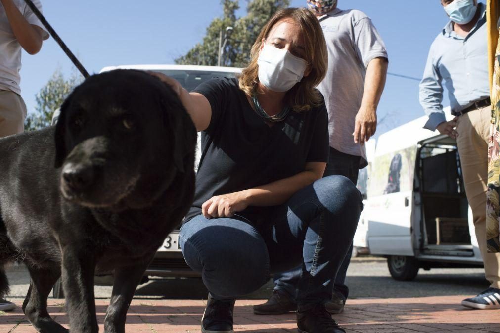 BE quer financiamento da escola de cães-guia para cegos revisto pela segurança social