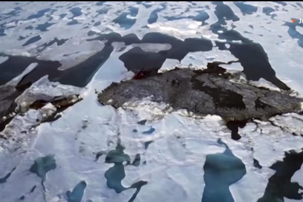 Cientistas descobrem ilha mais a Norte do mundo por acidente