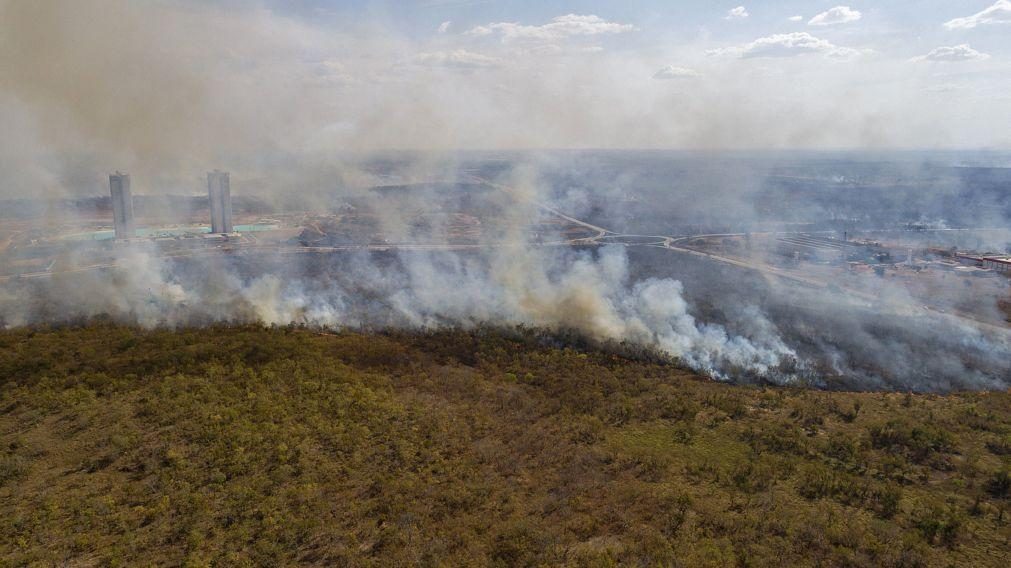 Incêndios na Amazónia brasileira aumentam cinco vezes em agosto