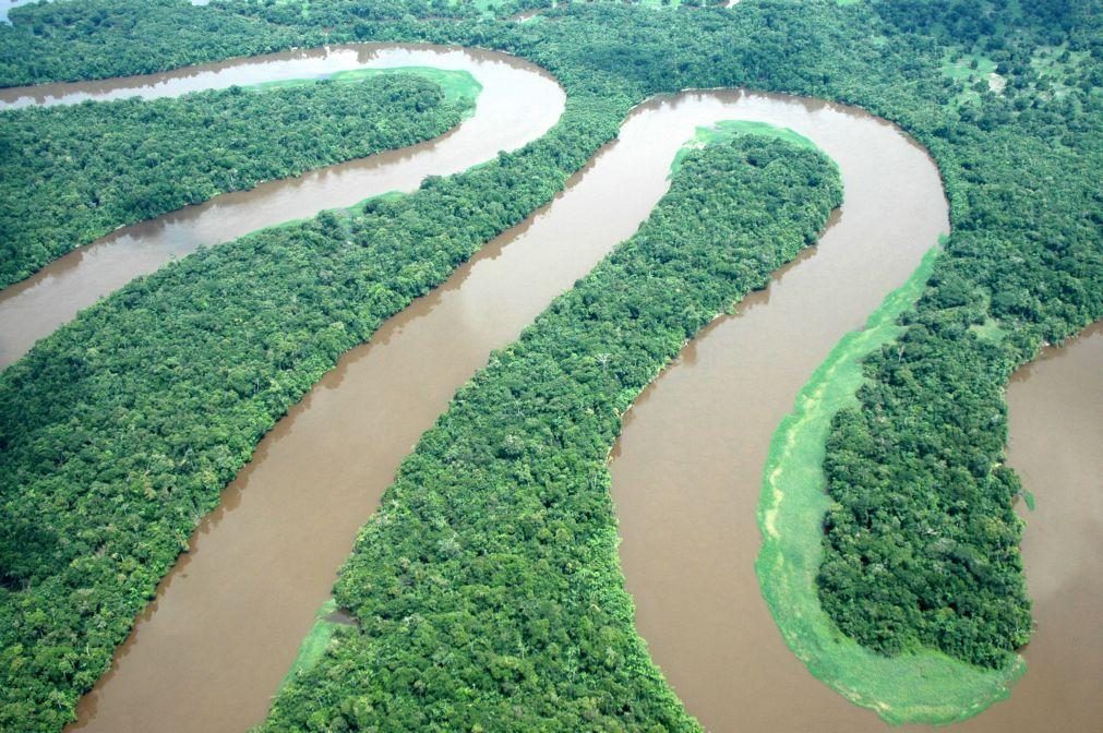 Investigadores criam estimulantes para plantas resistirem a alterações climáticas