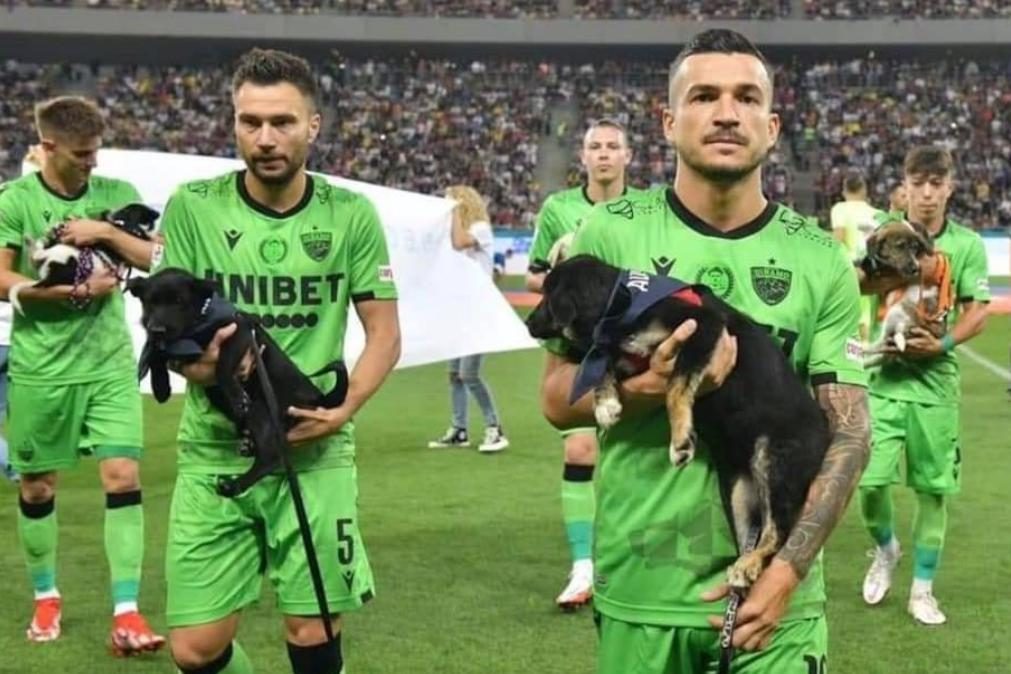Jogadores do futebol romeno entram em campo com cães abandonados
