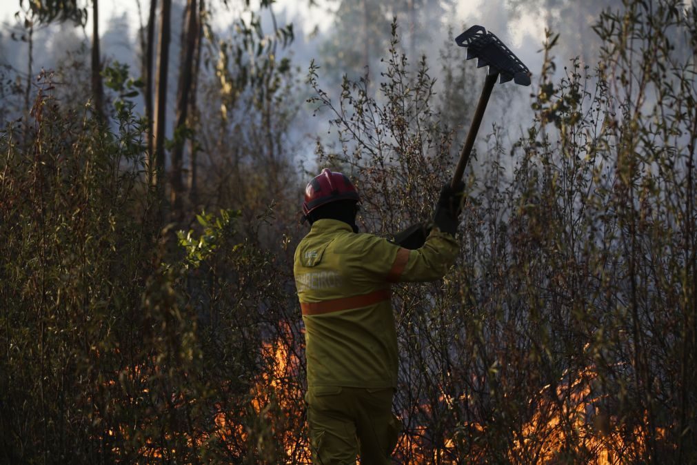 Onze concelhos de Faro e Santarém com risco muito elevado de incêndio
