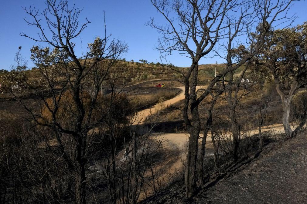 Nove concelhos dos distritos de Faro e Santarém com risco muito elevado de incêndio
