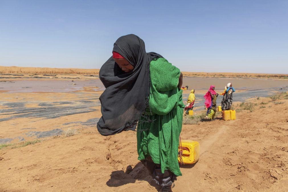 Alterações climáticas agravam conflitos em zonas vulneráveis como Sahel ou Corno de África